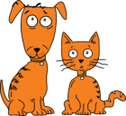 ΙΑΤΡΕΙΟ ΜΙΚΡΩΝ ΖΩΩΝ